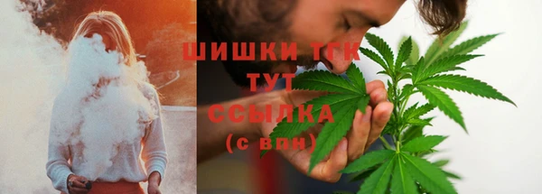 ECSTASY Медногорск