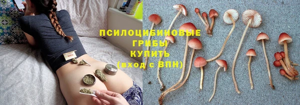 мет Медвежьегорск