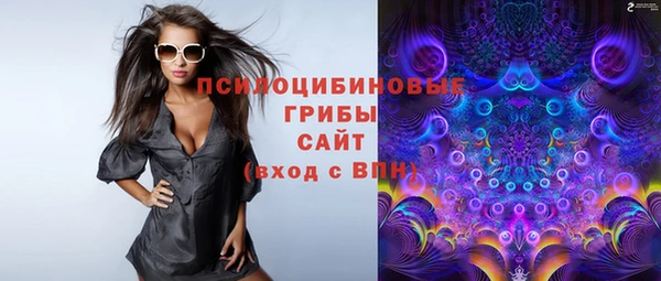 мет Медвежьегорск