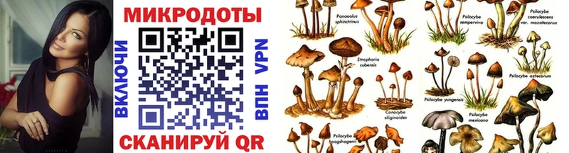 OMG ссылки  продажа наркотиков  Рязань  нарко площадка формула  Псилоцибиновые грибы мухоморы 