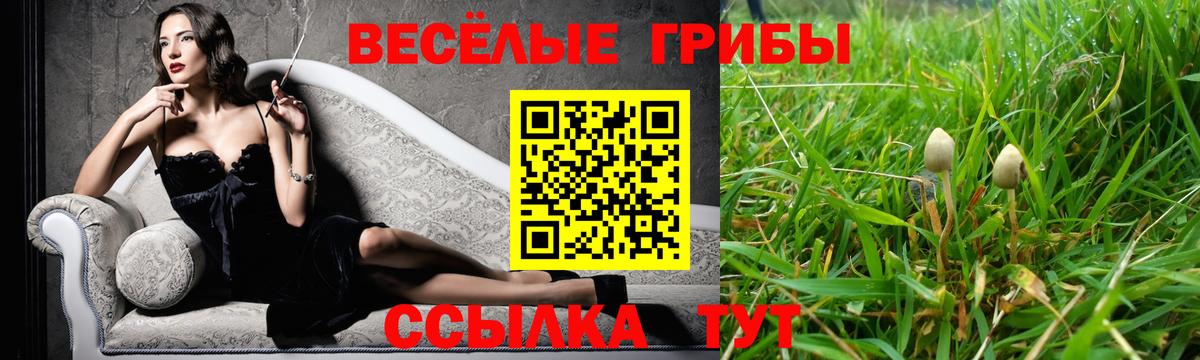 Мефедрон  MDMA  Гарик  Рязань  Вход с VPN  Меф  Конопля  NBOMe  Хмурый  Ешки 