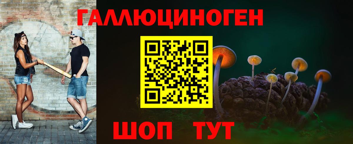 Галлюциногенные грибы Psilocybe Рязань