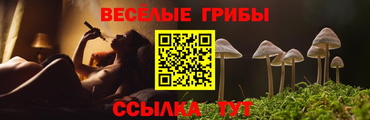 Рязань  Псилоцибиновые грибы прущие грибы  Вход с VPN  Галлюциногенные грибы прущие грибы 